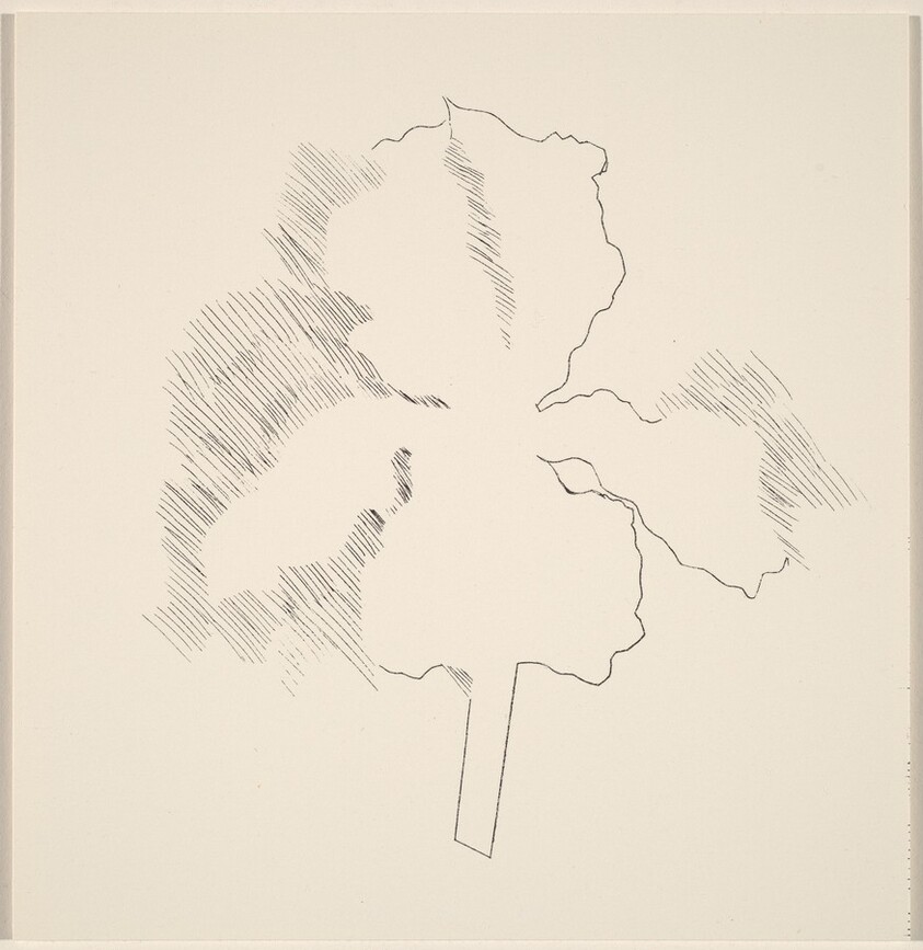 Players Dracula Decimo