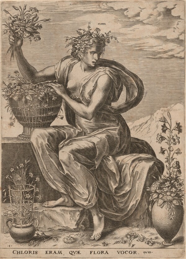 Flora