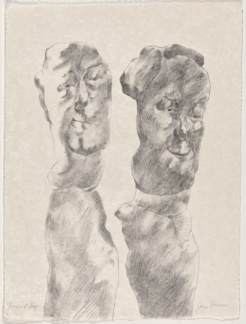 Untitled from Mirrored Couple