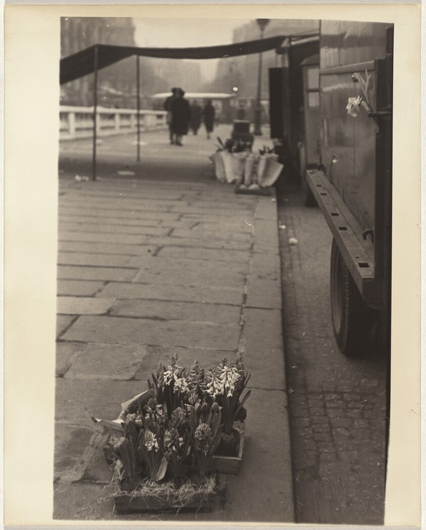 Flowers on sidewalk, Paris