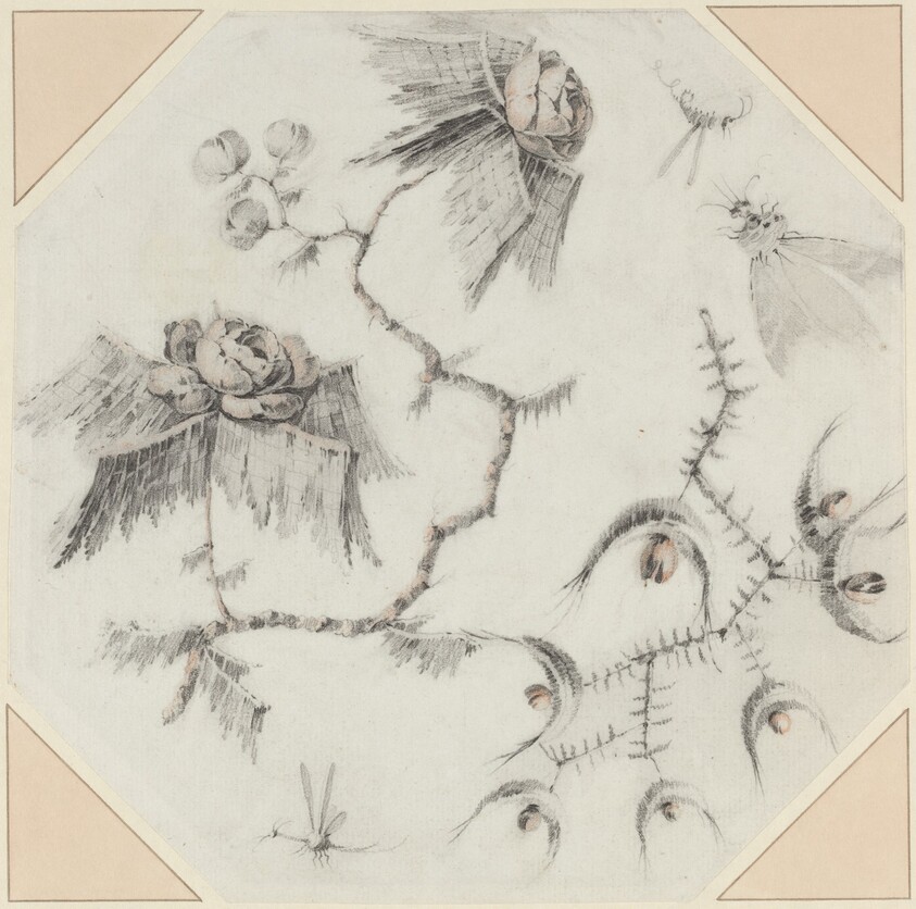 Fanciful Flowers and Bugs