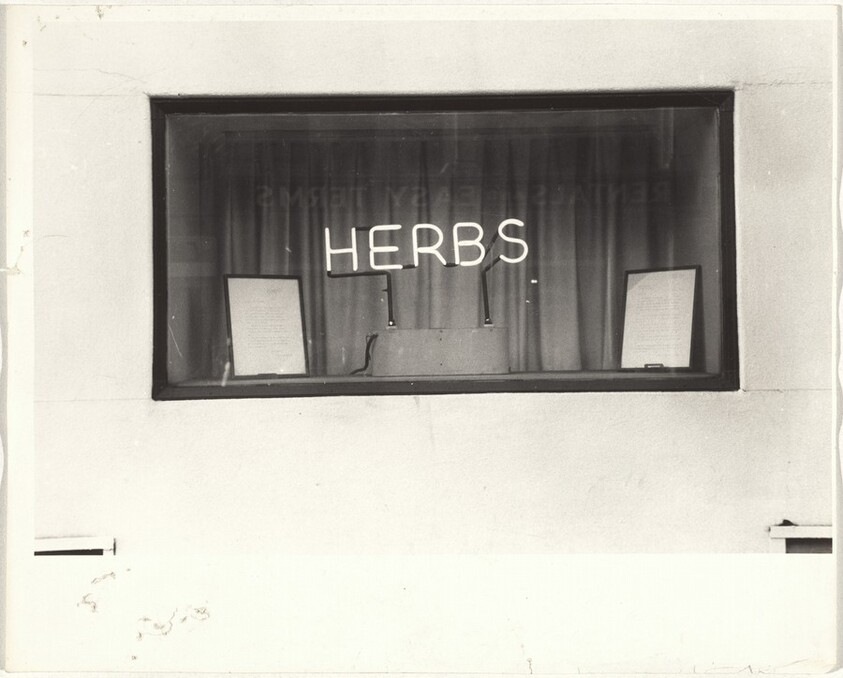 Herbs--Los Angeles
