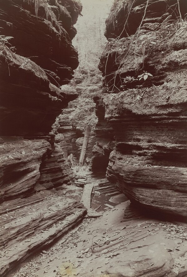 In Cold Water Canyon, Dells of the Wisconsin