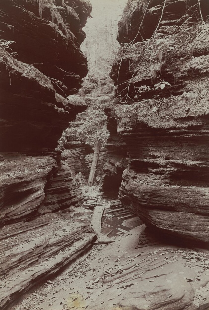 In Cold Water Canyon, Dells of the Wisconsin