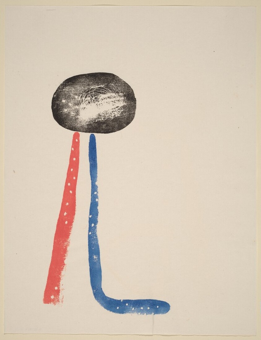 Untitled [plate XIII]