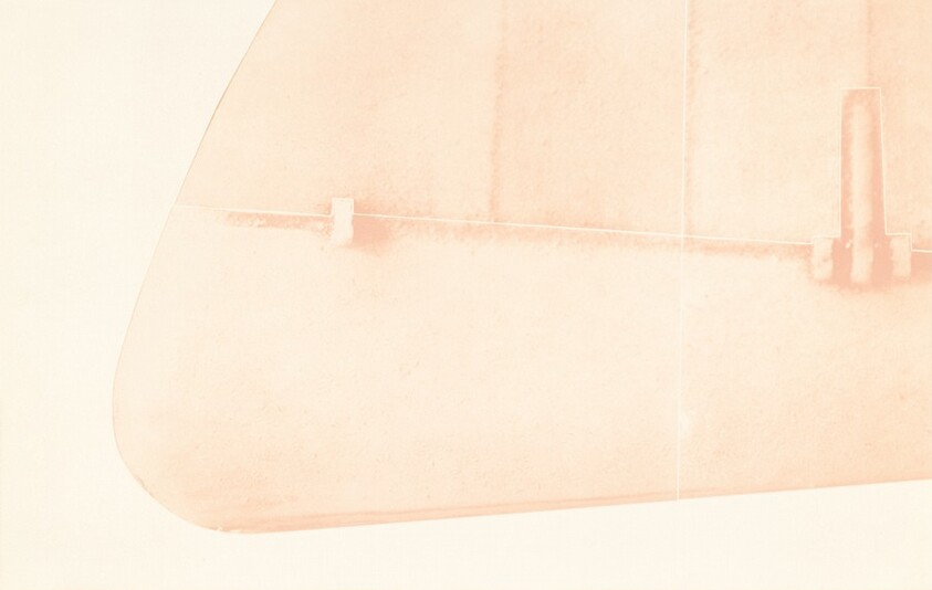 2 Wings for Wall and Person [bottom row, panel A]