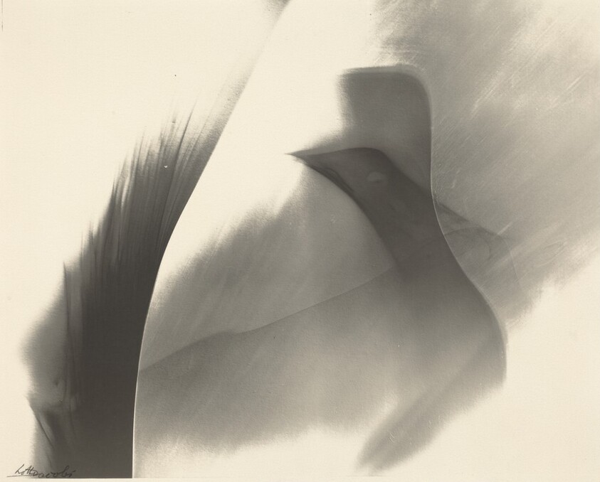 Untitled (Photogenic)