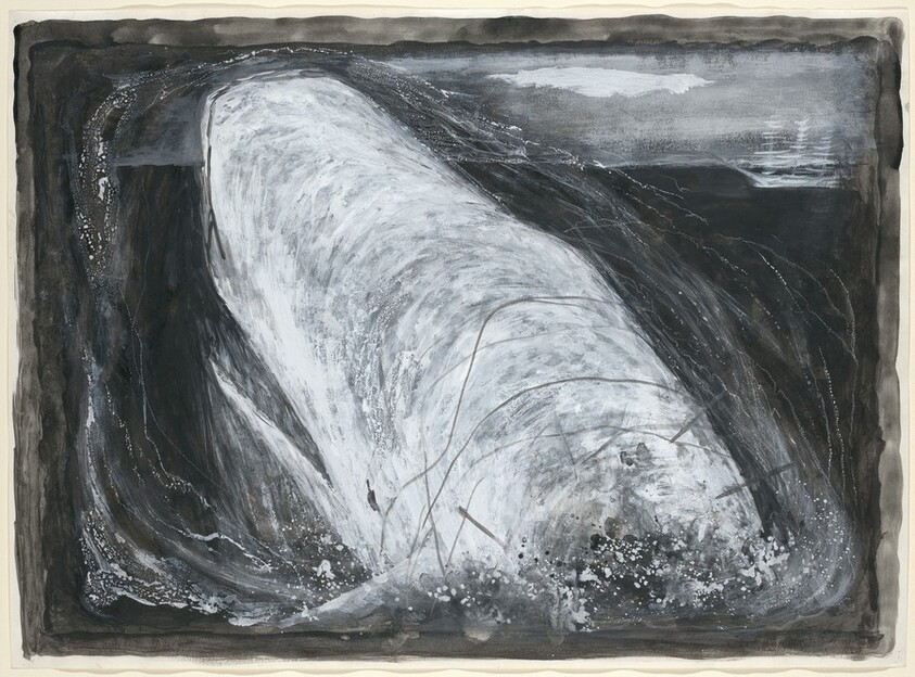 The Whiteness of the Whale