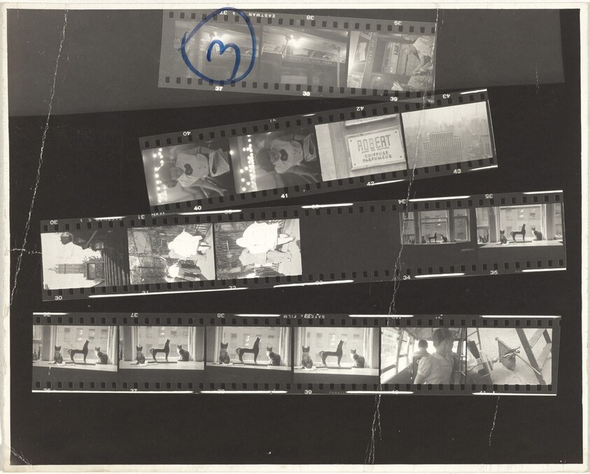 Children and family 3