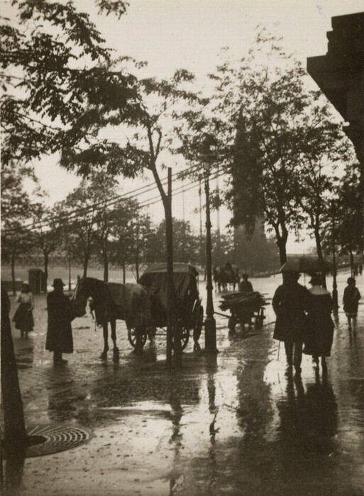 The image shows a street scene from a slightly elevated viewpoint. The horizon is not prominently visible, obscured by trees and structures along the street. The sky is overcast, creating muted tones. The textures are smooth with reflections on the wet pavement. The scene includes a horse and carriage, people under umbrellas walking on the street, and rows of trees. The color palette is monochromatic, emphasizing contrasts and wet surfaces shimmering with reflections.
