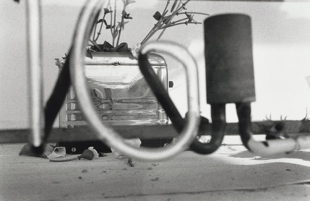 The image features an abstract arrangement of objects, including large, curved tubes in the foreground and a glass container with plant stems in the background. The color palette is monochromatic, consisting of varying shades of black, white, and gray. Positioned in the center, the tubes frame the glass container, which is slightly obscured by the tubes' curving paths, while scattered petals and debris can be seen on the surface below, adding texture to the scene.