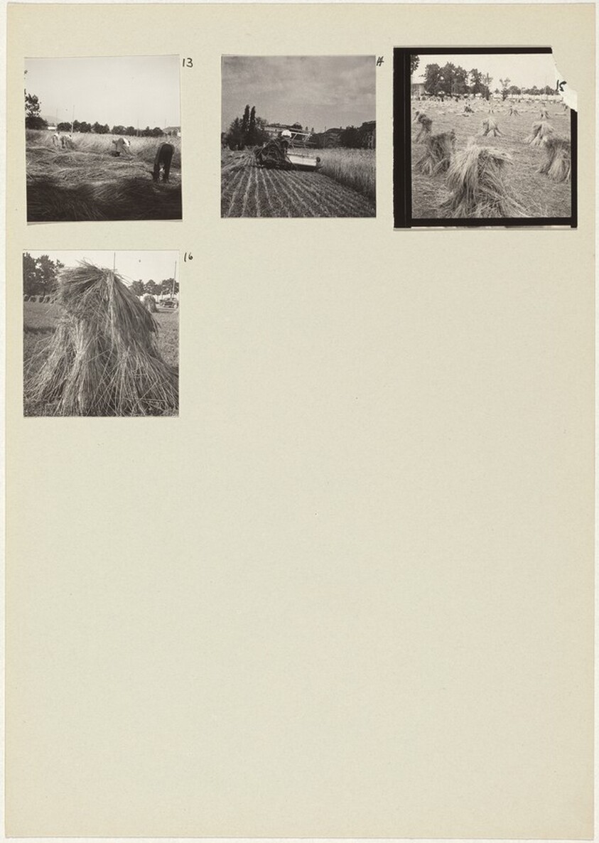 Die Landwirtschaft (Farming) 13-16