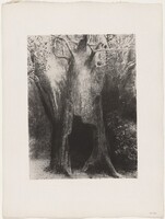 Je Me Suis Enfoncé dans la Solitude. J'habitais L'Arbre Derrière Moi, Odilon Redon, Georges Aubert after Redon, and Gustave Flaubert, published 1938