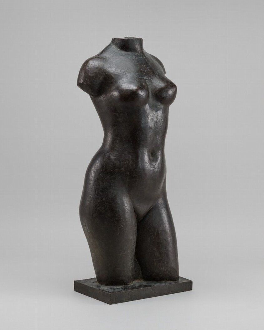 Torso of a Young Woman