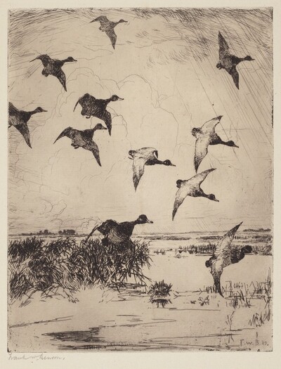 Flying Ducks