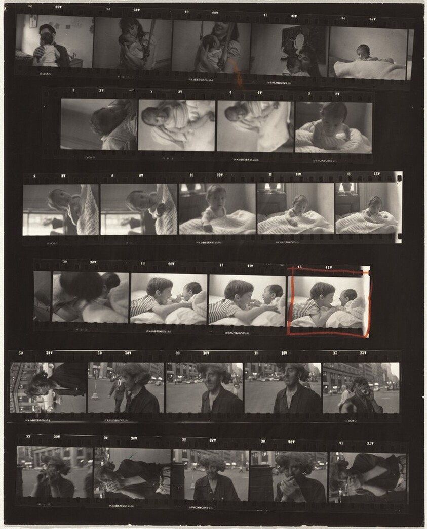 Family--New York City no number