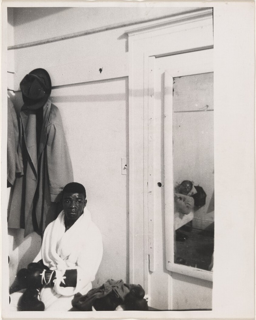 Boxer, Wintergarden--San Francisco