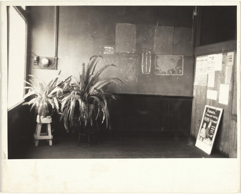 Interior with ferns--Paint Rock, Alabama