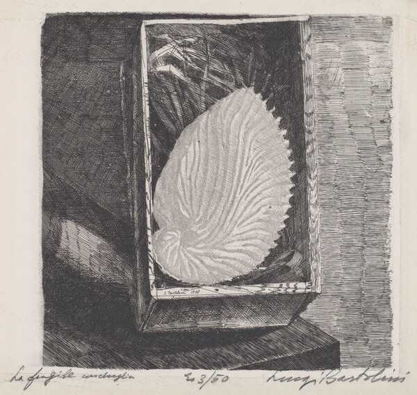 La fragile conchiglia [The Fragile Shell]