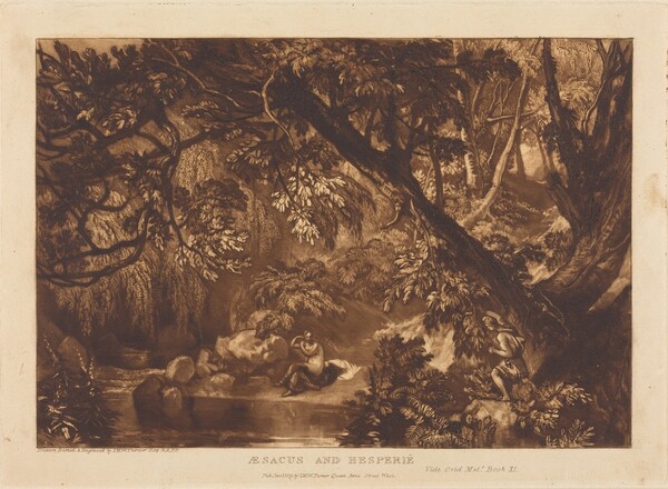 Aesacus and Hesperie