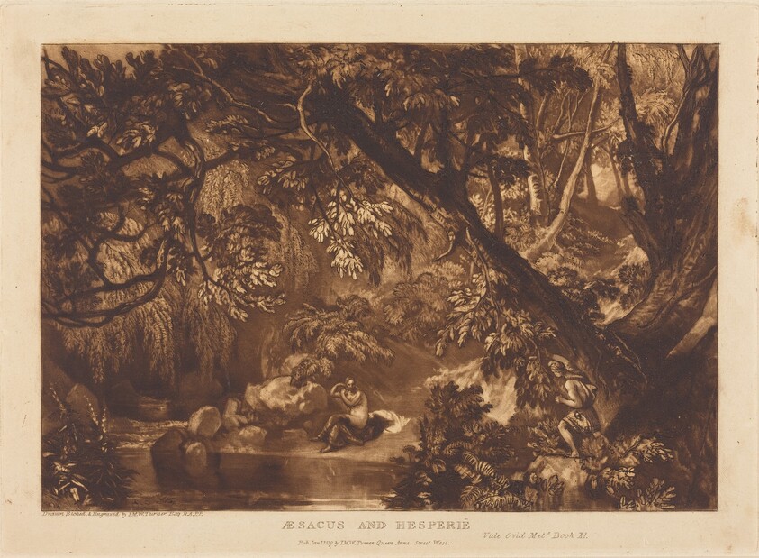 Aesacus and Hesperie