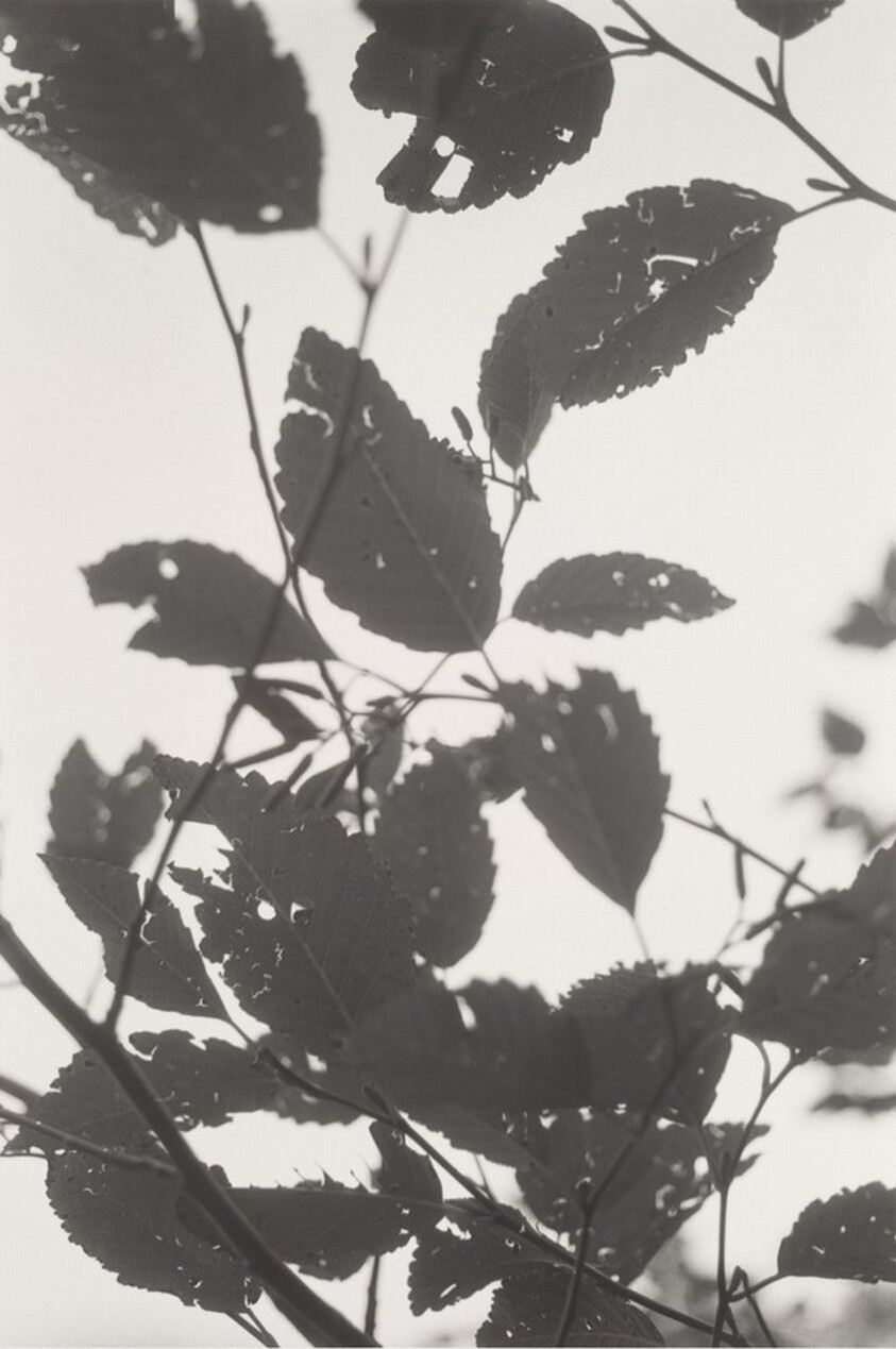 Neahkahnie Mountain, Oregon