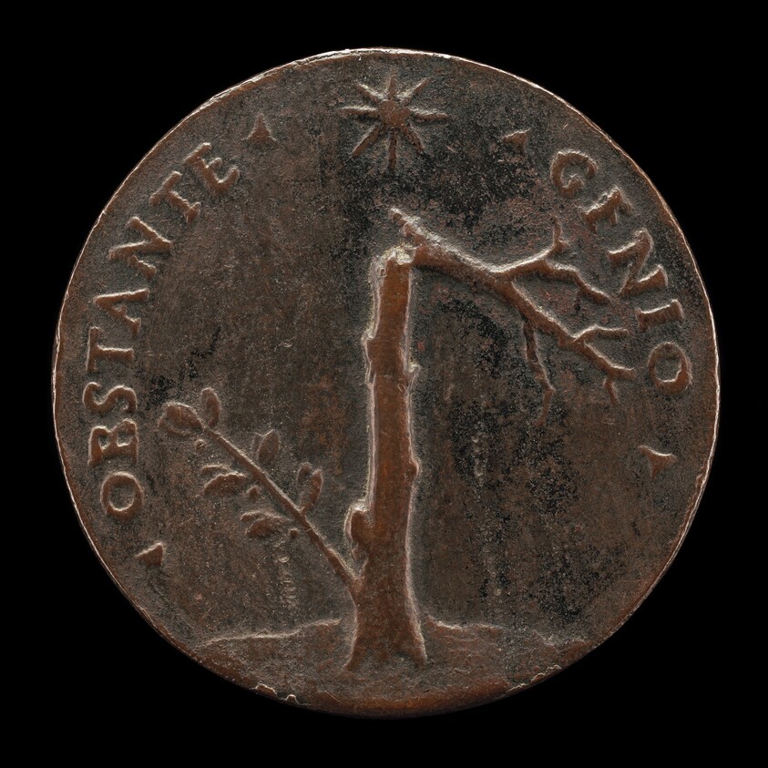 Broken Laurel Tree with Leafy Branch [reverse]