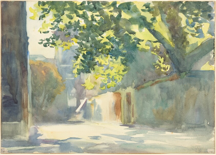 Sunlit Wall Under a Tree