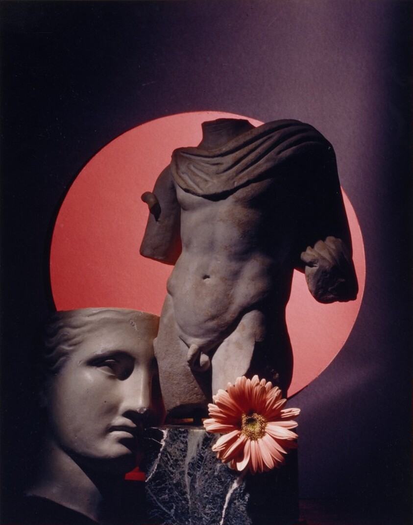 Venus with Torso and Gerbera