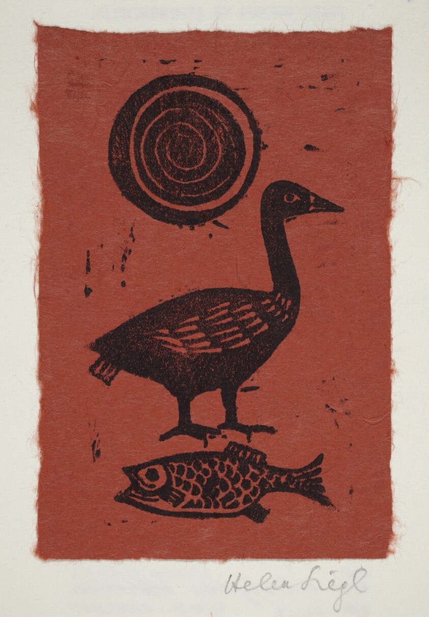 Concentric Circles, Goose, and Fish