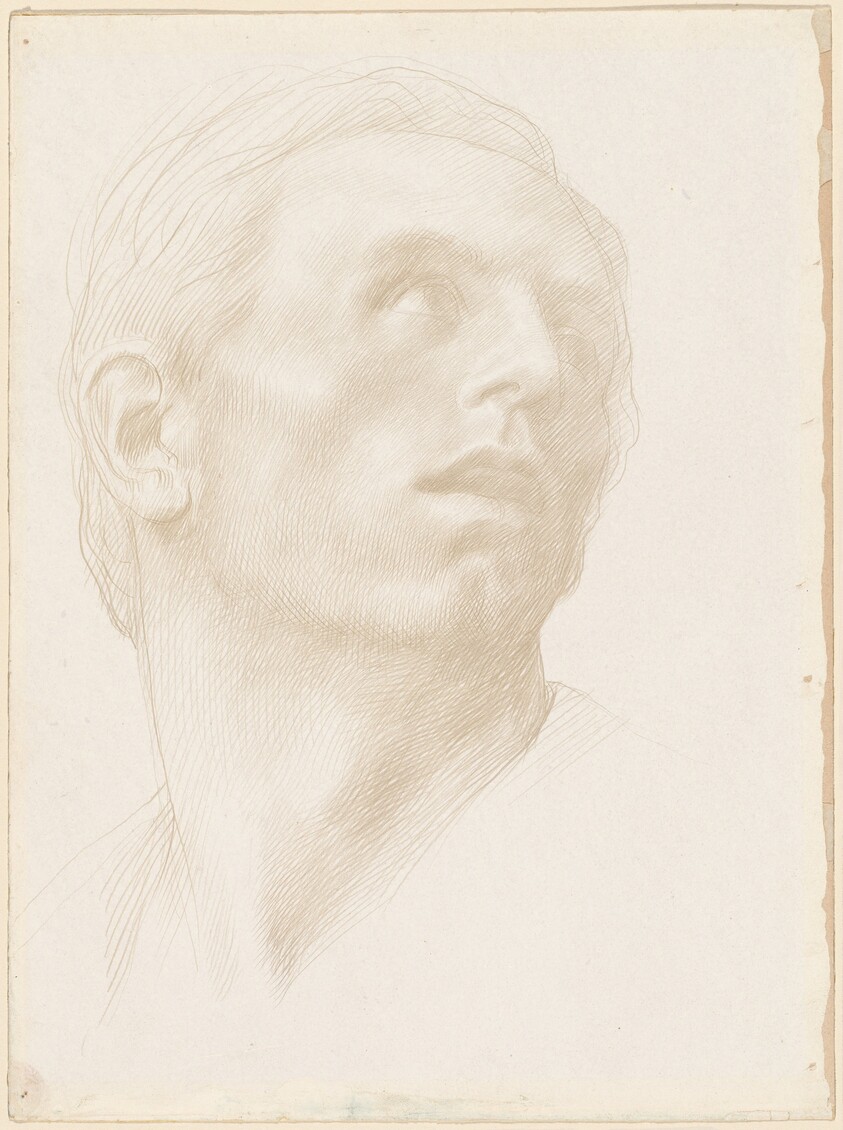 Head of a Man Looking Up to the Right
