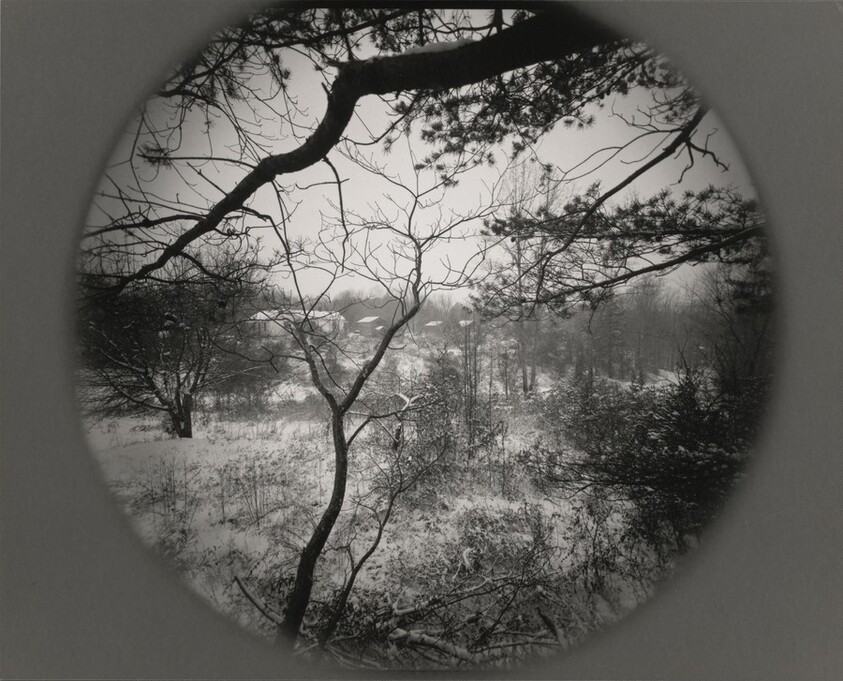 View of Rennie Booher's House, Danville, Virginia