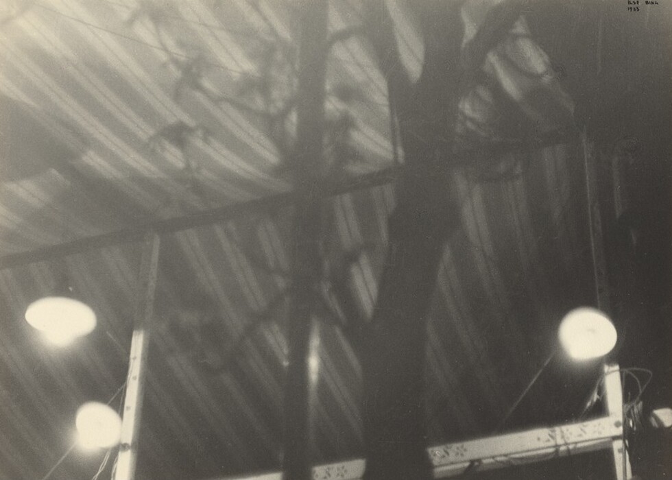 The image shows a series of vertical and diagonal lines forming an abstract pattern, with a shadowy silhouette resembling a tree. Bright circular shapes resembling glowing orbs intersect the composition.