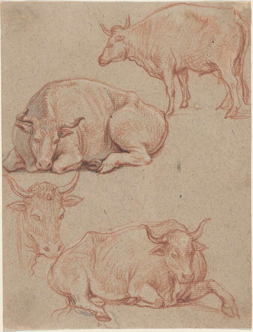 Four Cows
