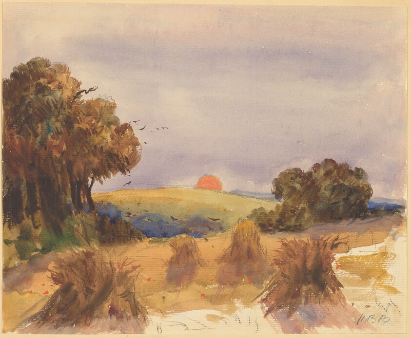 A Cornfield at Sunset