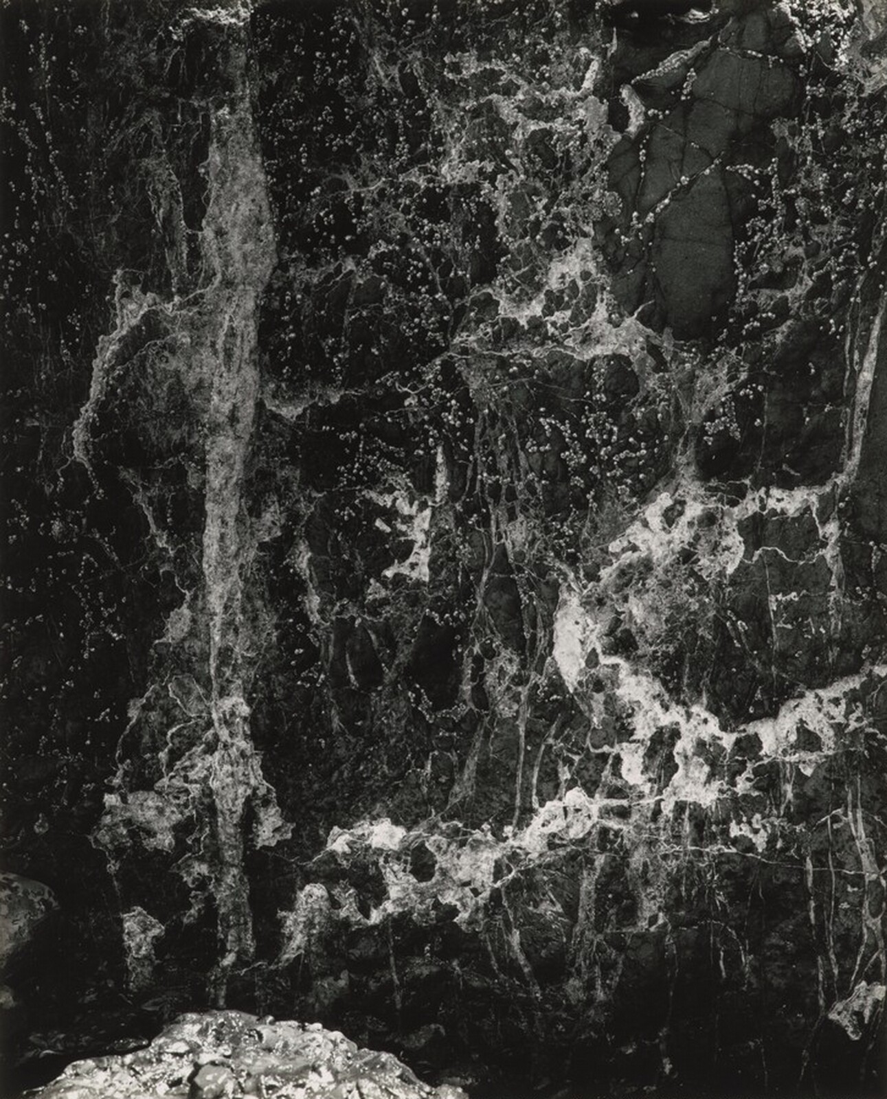 Cape Meares, Oregon, Minor White, 1960