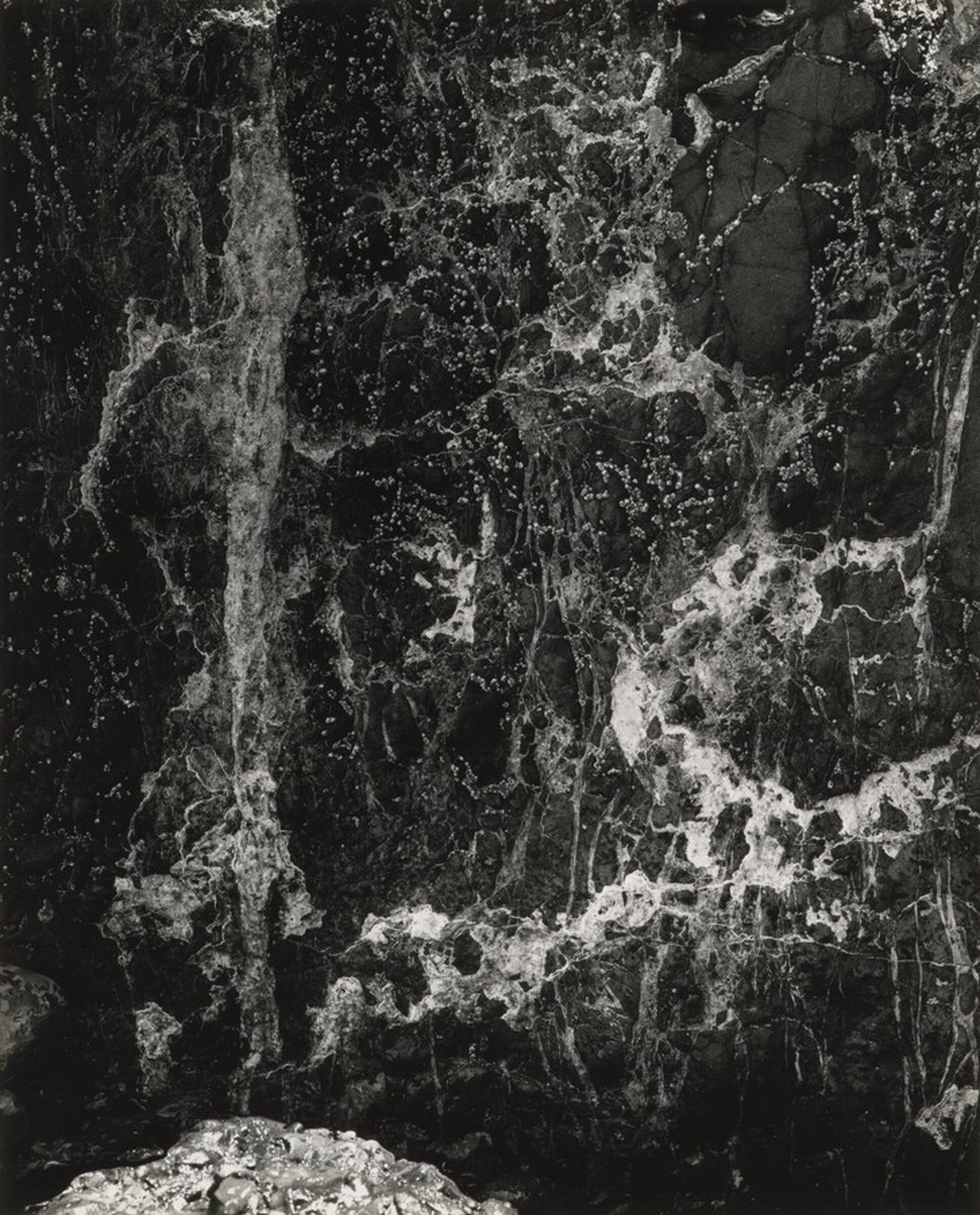 Cape Meares, Oregon, Minor White, 1960