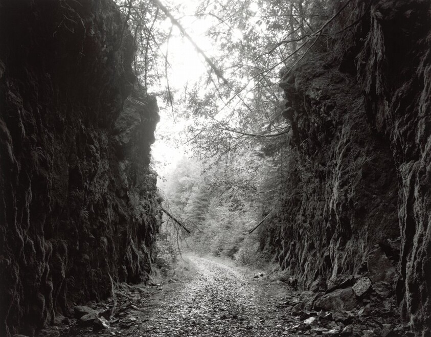 Columbia and Western