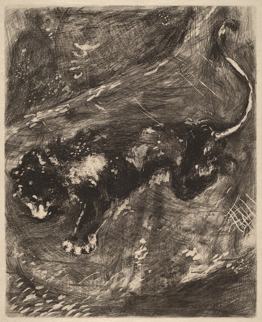 The Lion and the Rat