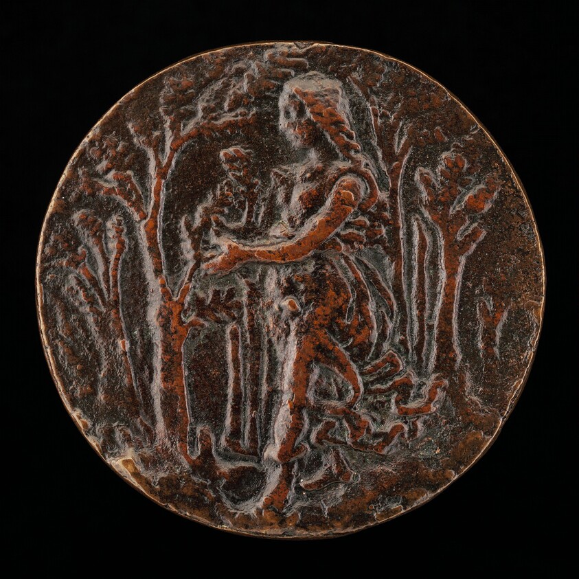 Poetry Walking in a Wood [reverse]