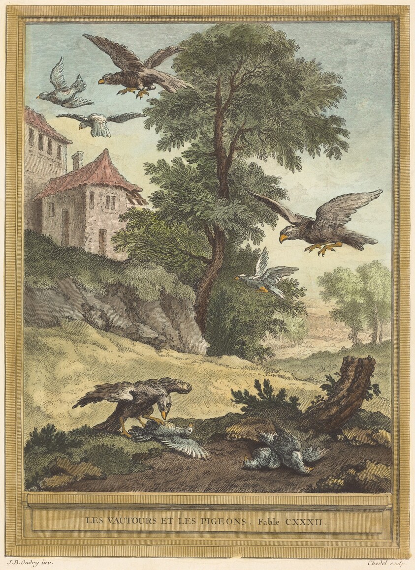 Les vautours et les pigeons (Vultures and Pigeons)