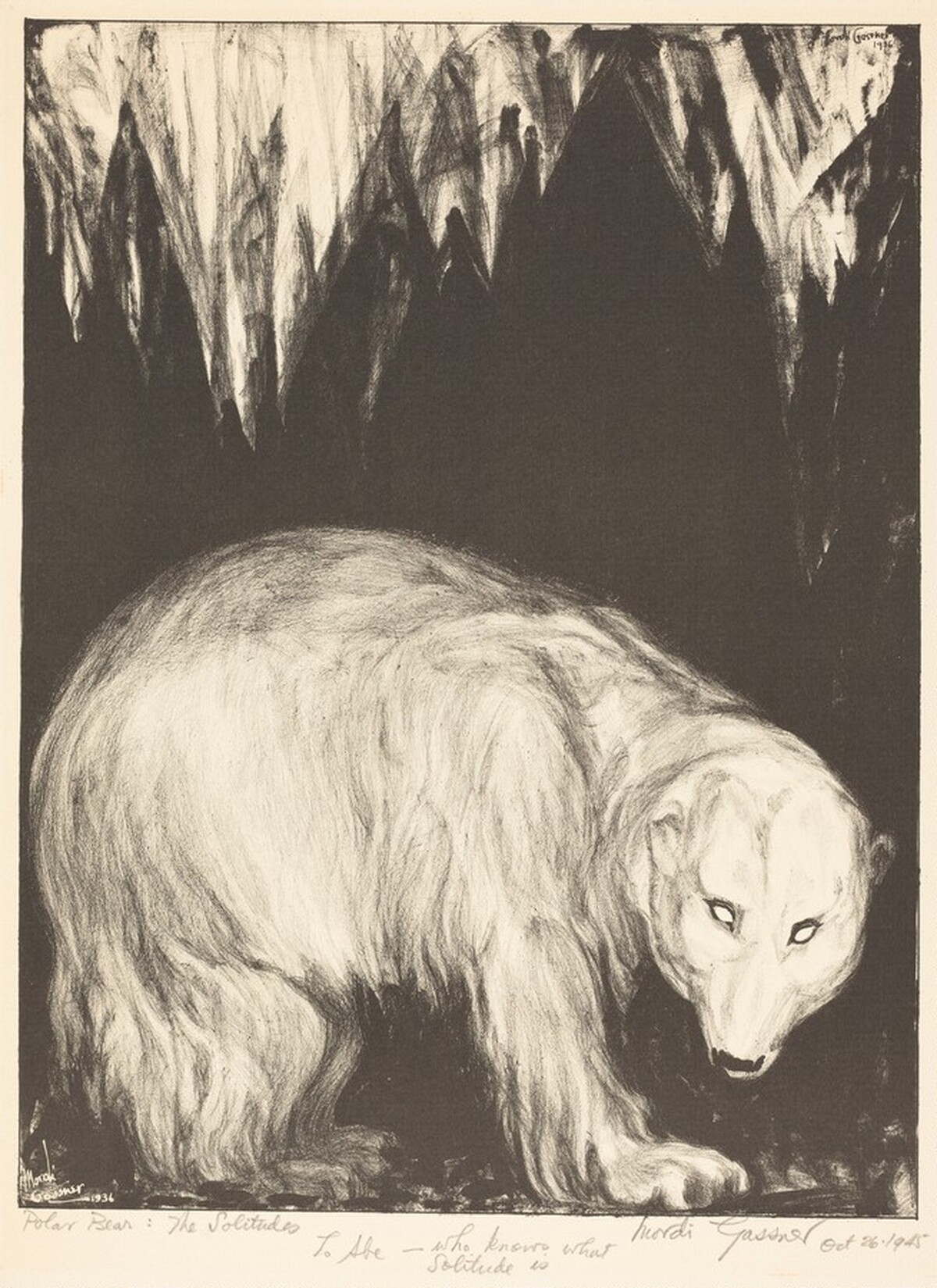 Polar Bear: The Solitudes