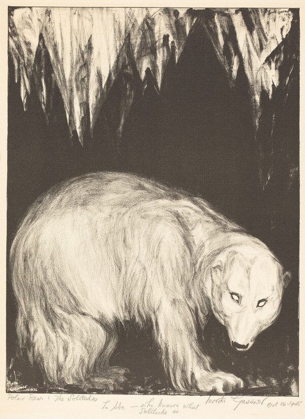 Polar Bear: The Solitudes