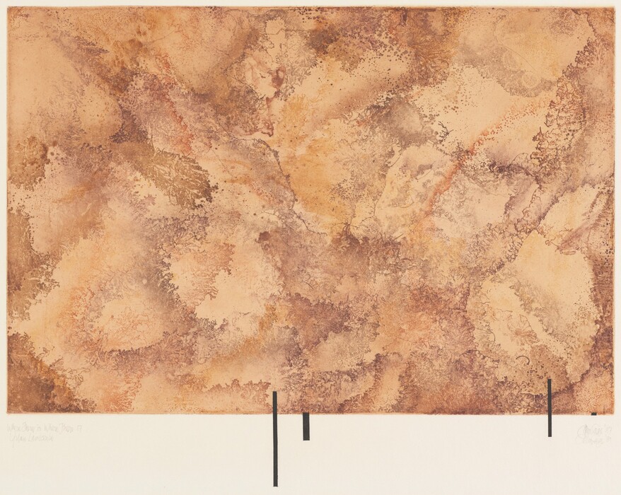 The image shows swirling shapes and intricate lines blending together across the canvas. The artwork has a textured and mottled appearance, mainly in shades of earthy browns and beiges. There are organic forms that might resemble a rugged landscape or leaf veins. Three vertical black lines near the bottom provide a stark contrast to the softer tones.