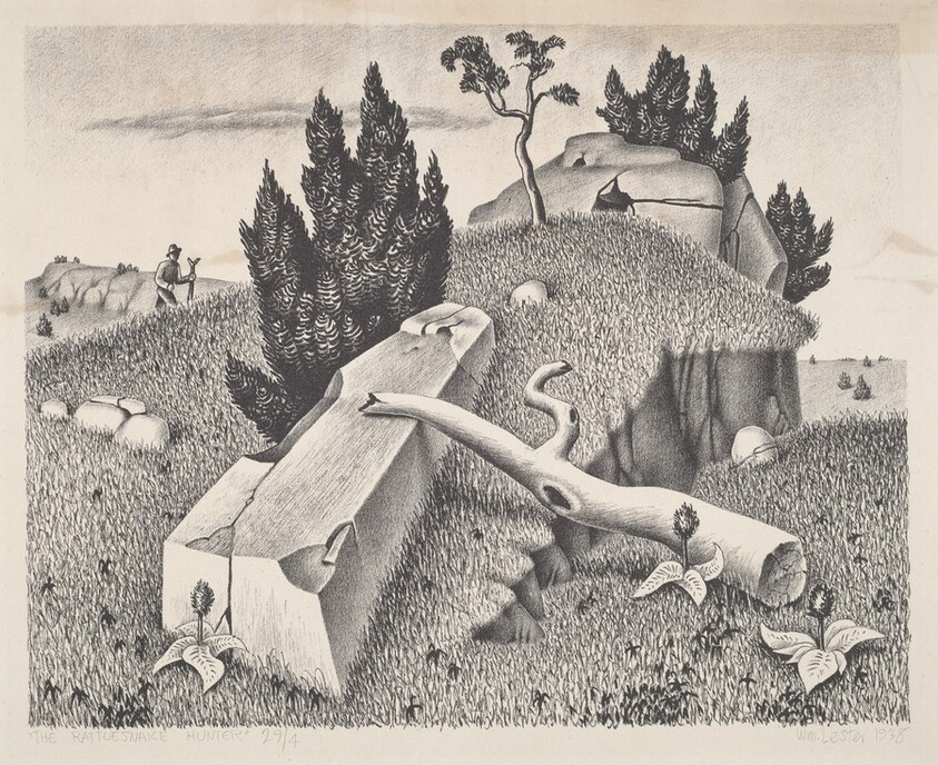 The Rattlesnake Hunter