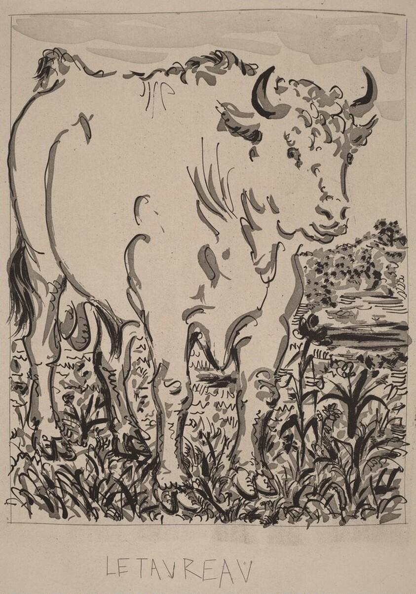 Le Taureau (The Bull)