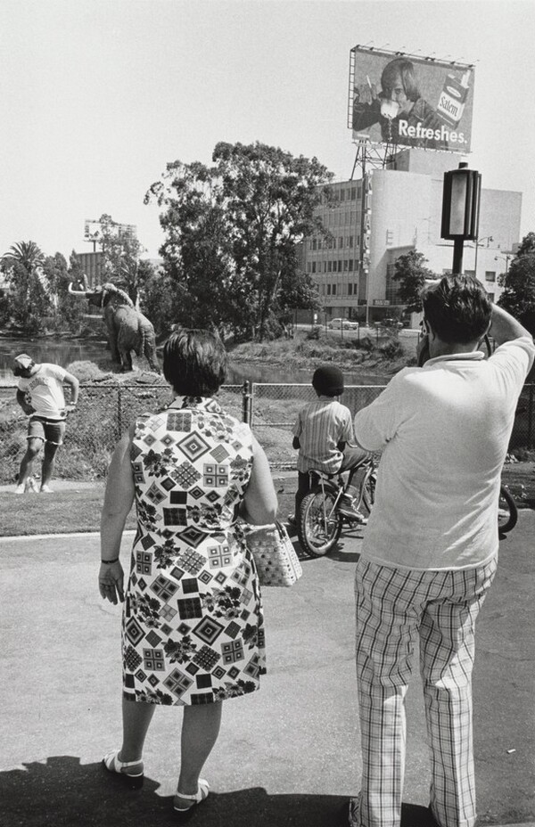 La Brea Tar Pits, Los Angeles