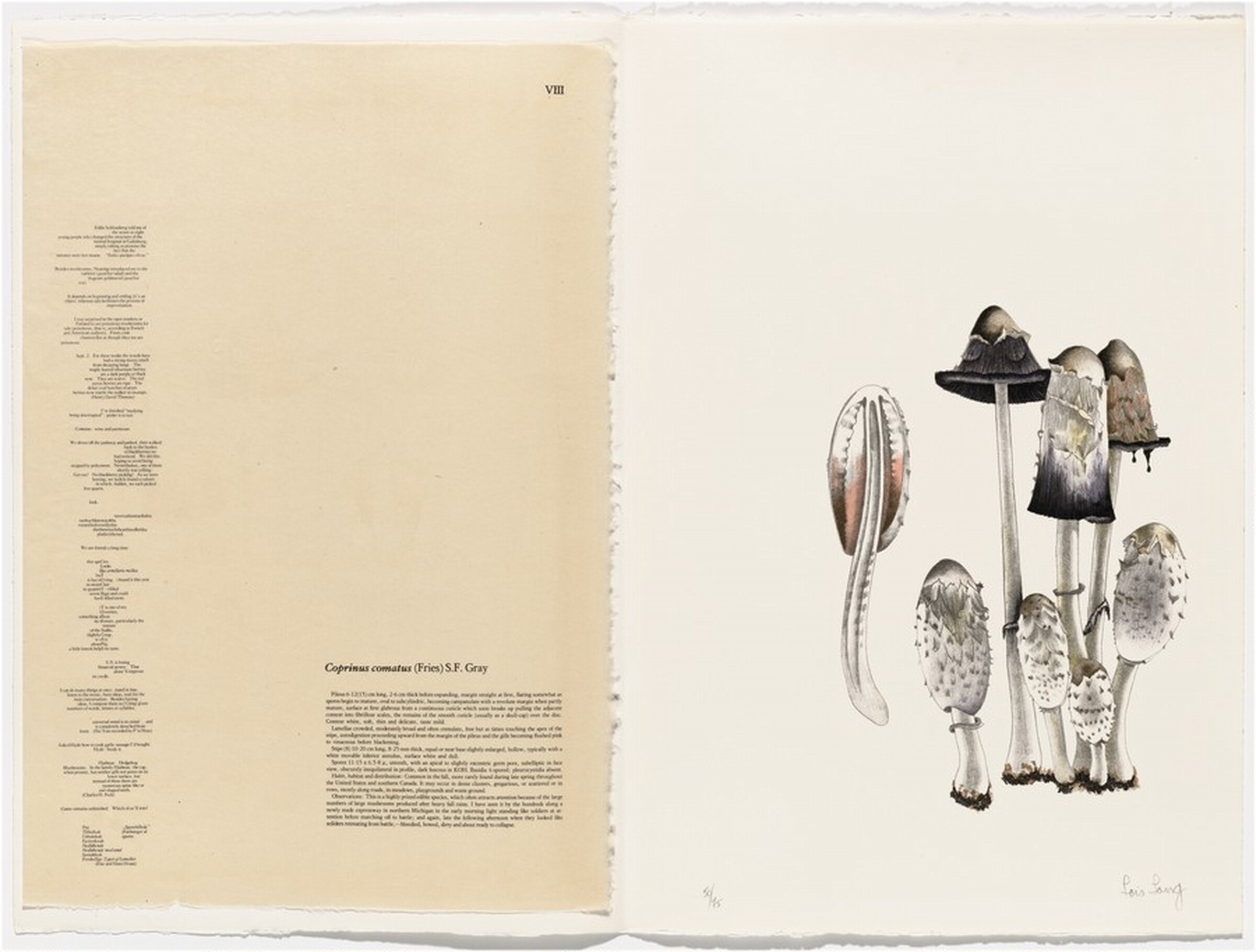Untitled, Lois Long, 1972