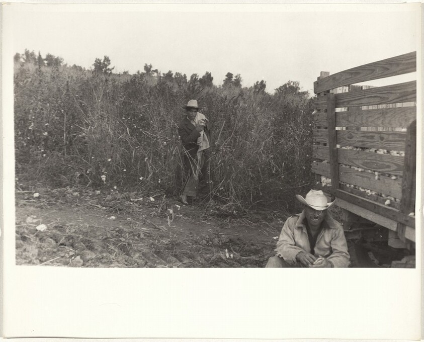 Cotton harvesters near truck--Arkansas