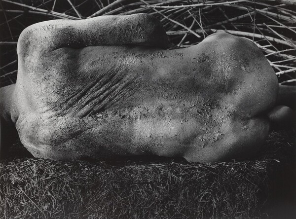 Erinnerungsspur--Statische Vibration (Memory's Trace--Static Vibration)